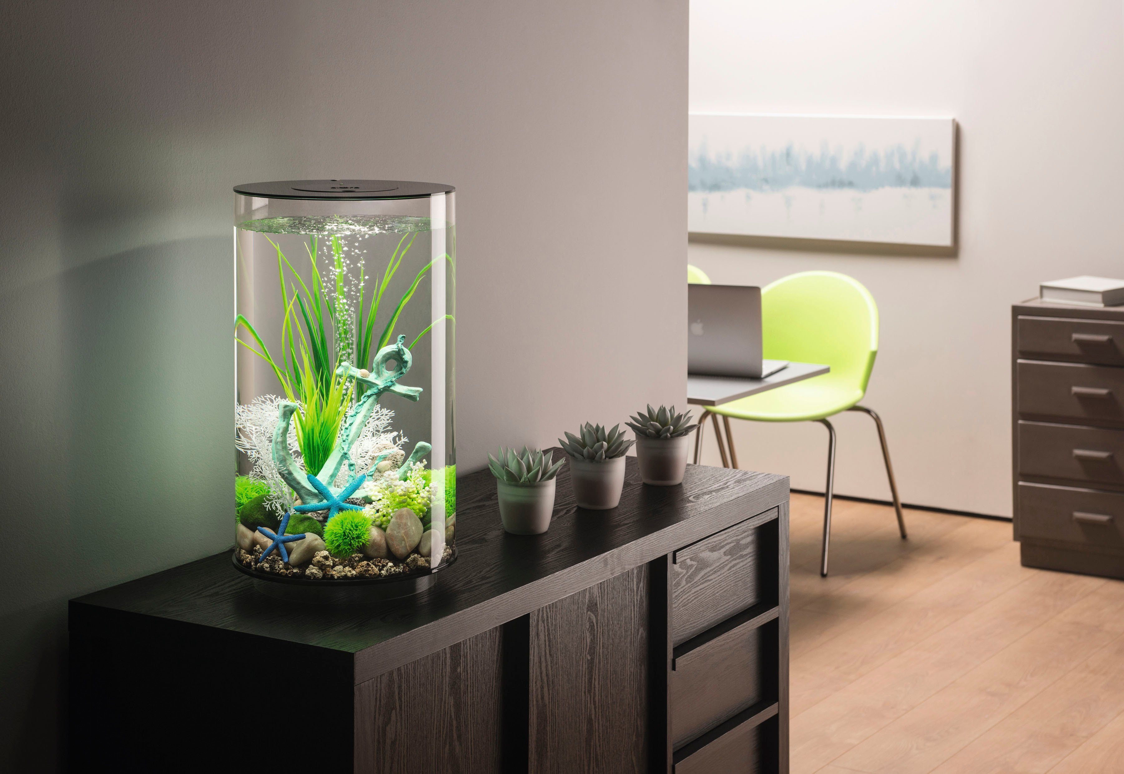 30 ØxH: Aquarium LED; 72066/67, 30 Liter, OASE by verschiedene TUBE 32,8x51,3 cm, biOrb Farben
