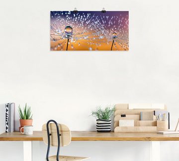 Artland Wandbild Pusteblumen Tautropfen, Blumenbilder (1 St), als Alubild, Outdoorbild, Leinwandbild, Poster, Wandaufkleber