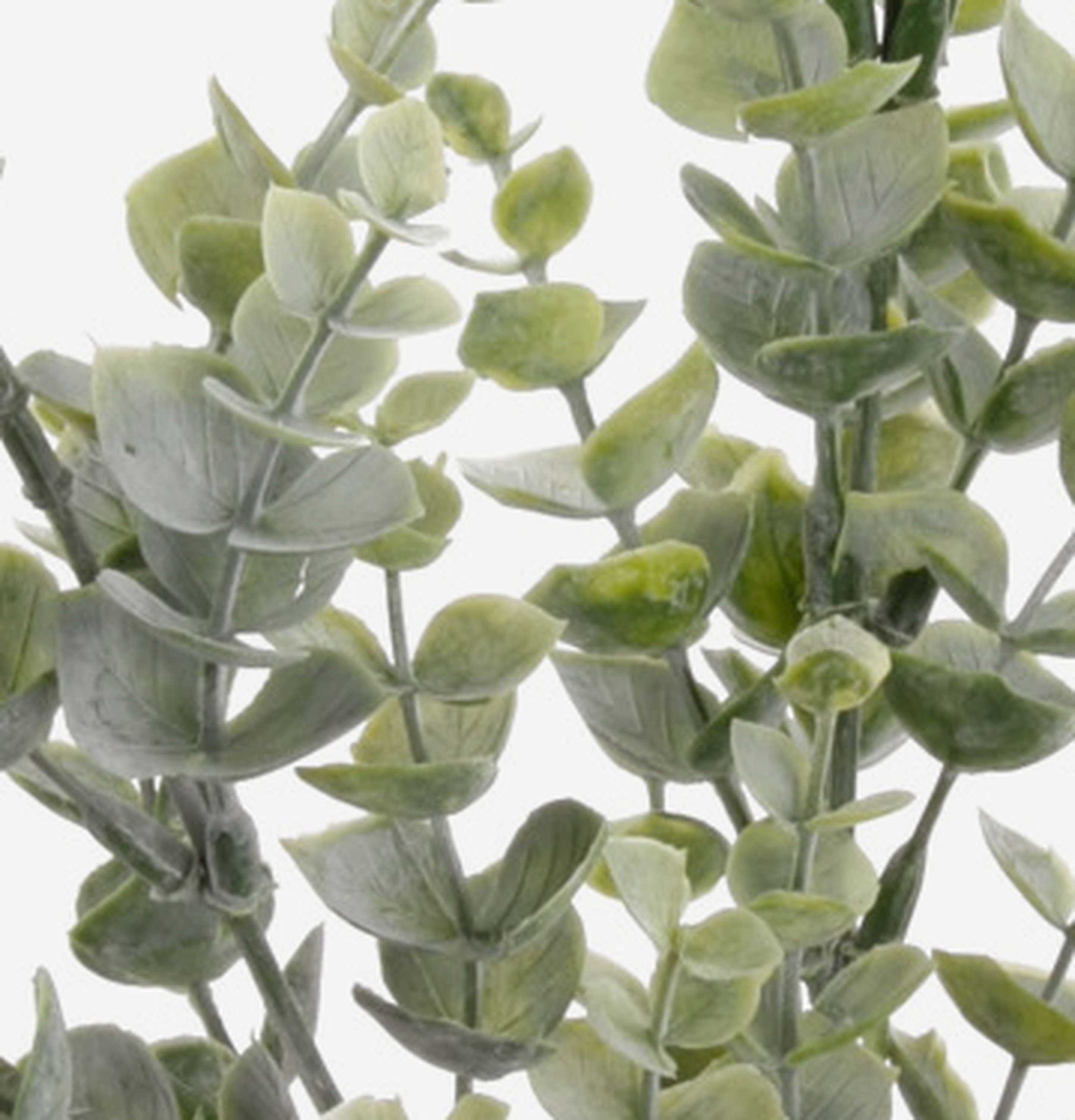 Kunstzweig Eukalyptus Zweig Noelia, grün, 70cm Eukalyptus, artplants – Bild 2 von 4