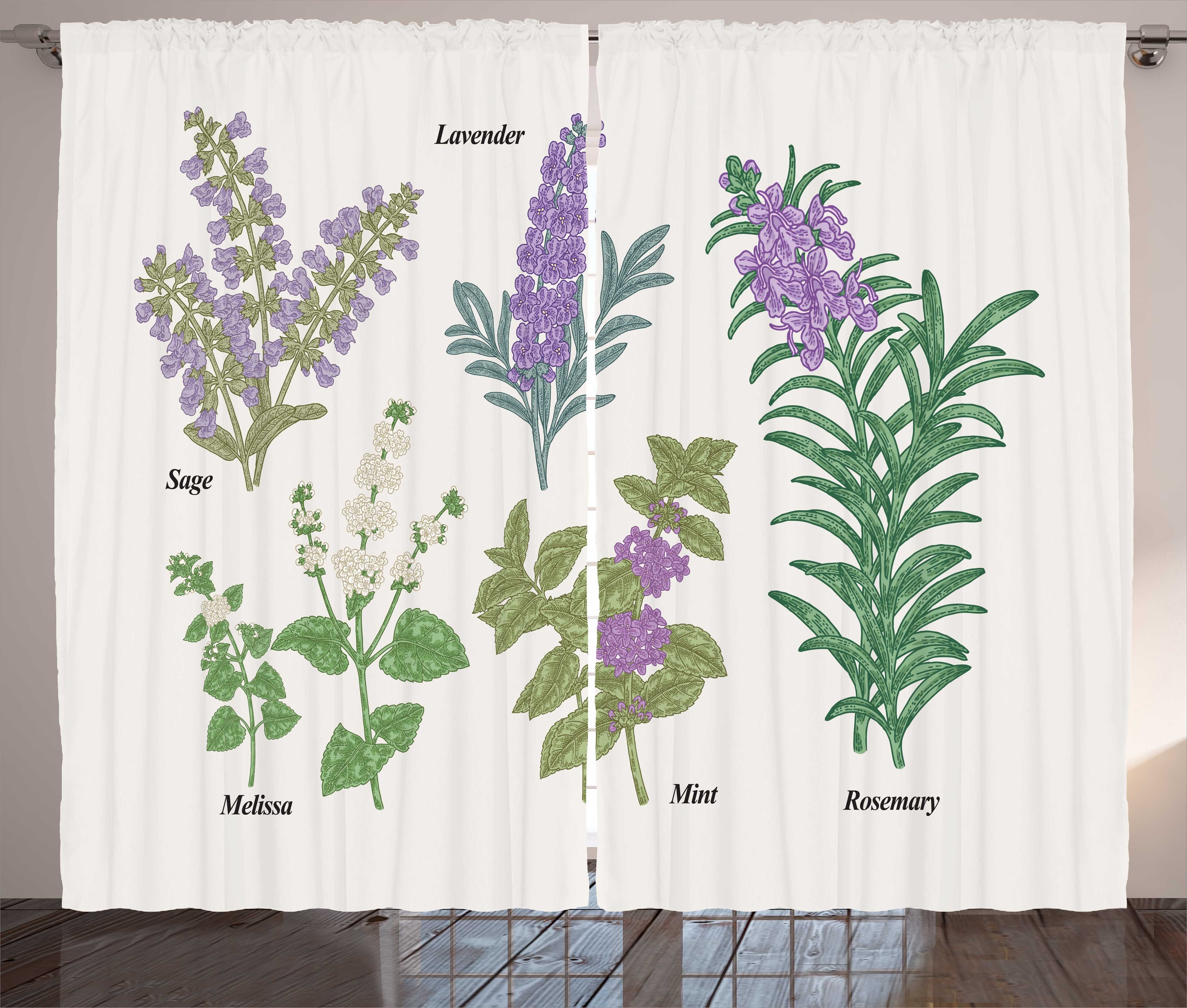 Kräuselband Gardine mit Schlafzimmer Botanische und Kraut Abakuhaus, Vorhang Informationsgrafik Haken, Plants Schlaufen