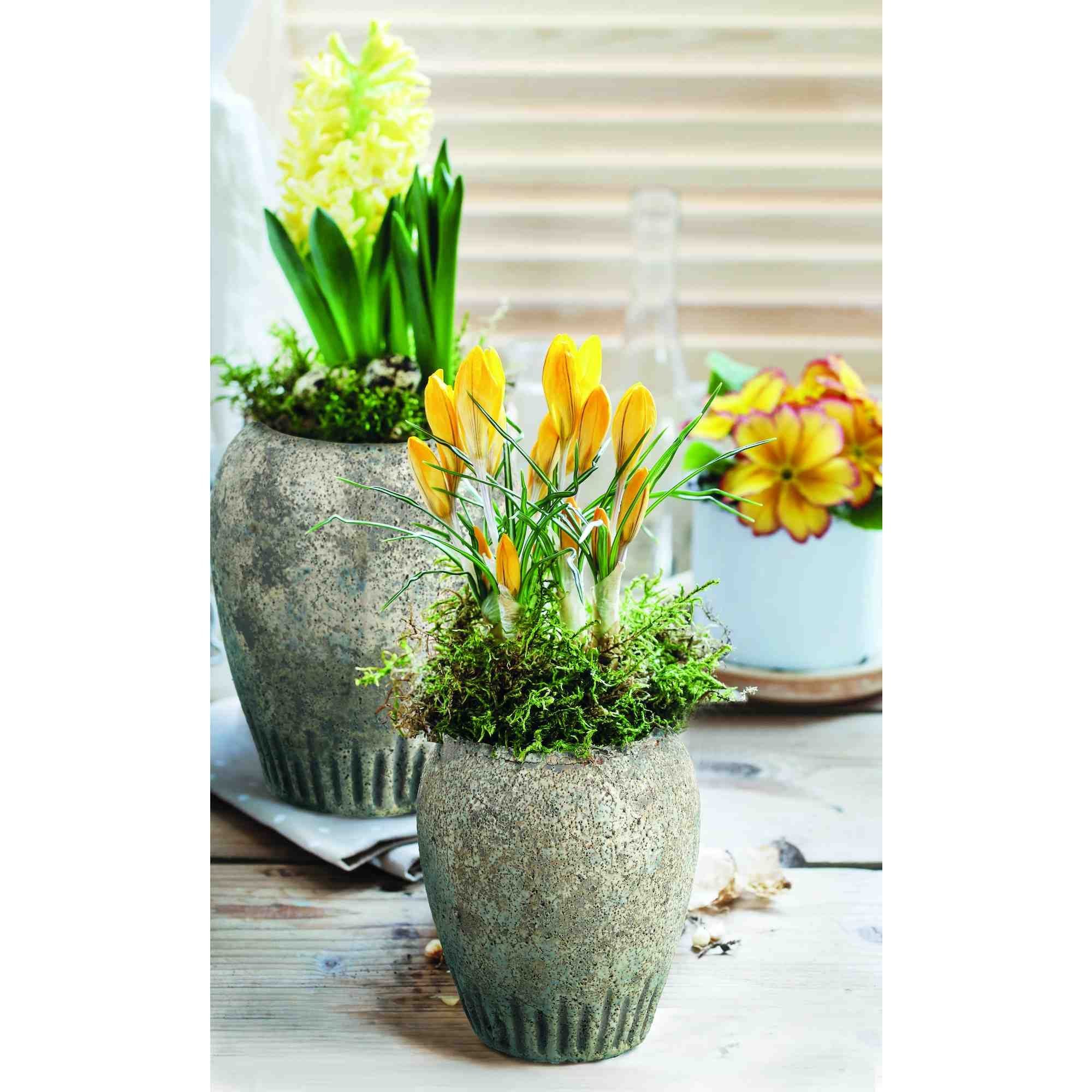 B&S Pflanzkübel Blumenkübel Keramik Vase Amphore Antik Shabby Steinoptik H 23 cm Rund | Pflanzkübel