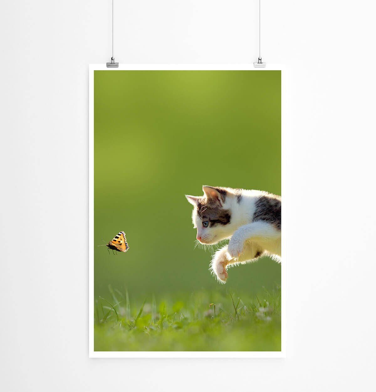 Sinus Art Плакат Tierfotografie 60x90cm Плакат Kätzchen auf der Jagd nach Schmetterling
