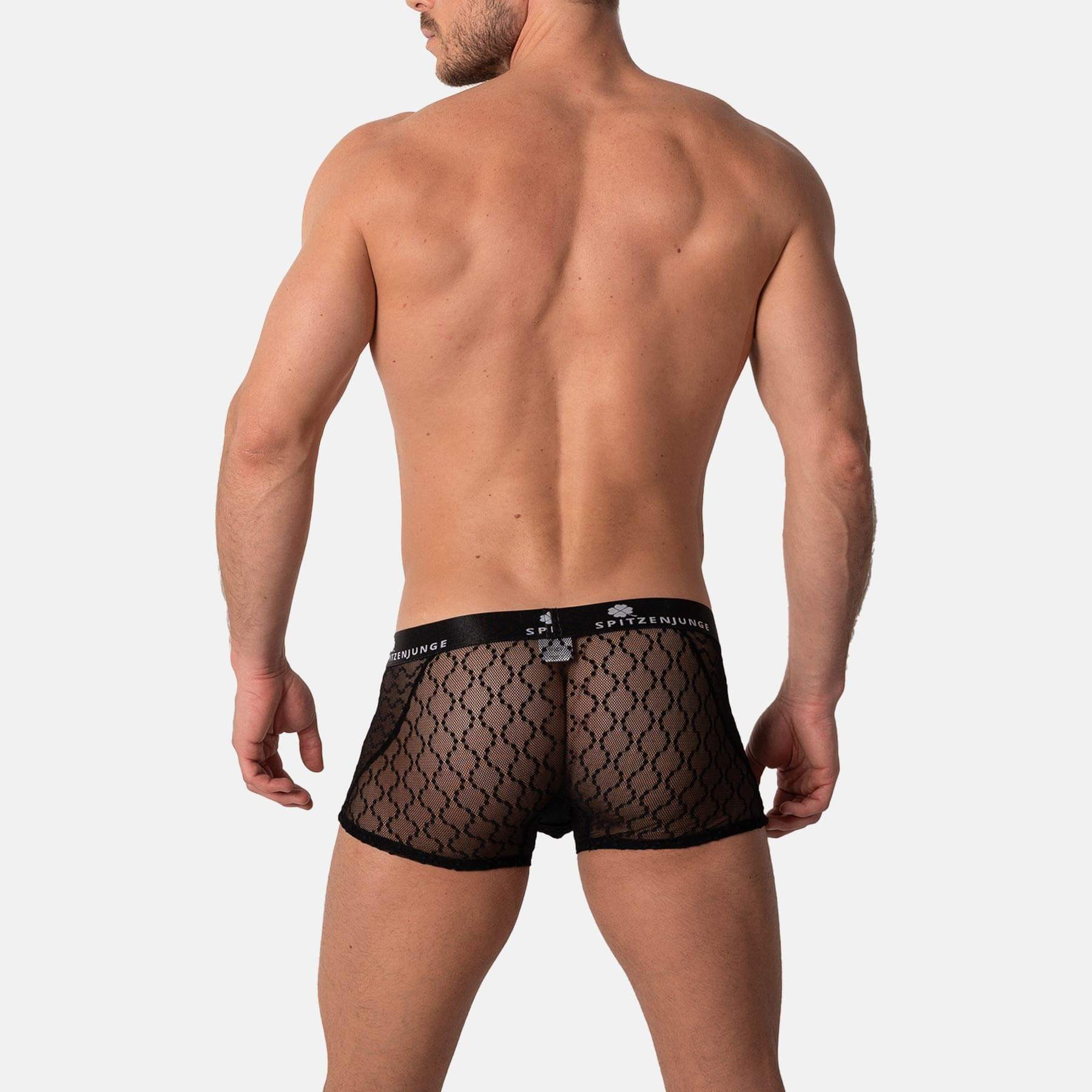 SPITZENJUNGE Boxer Empire Caro