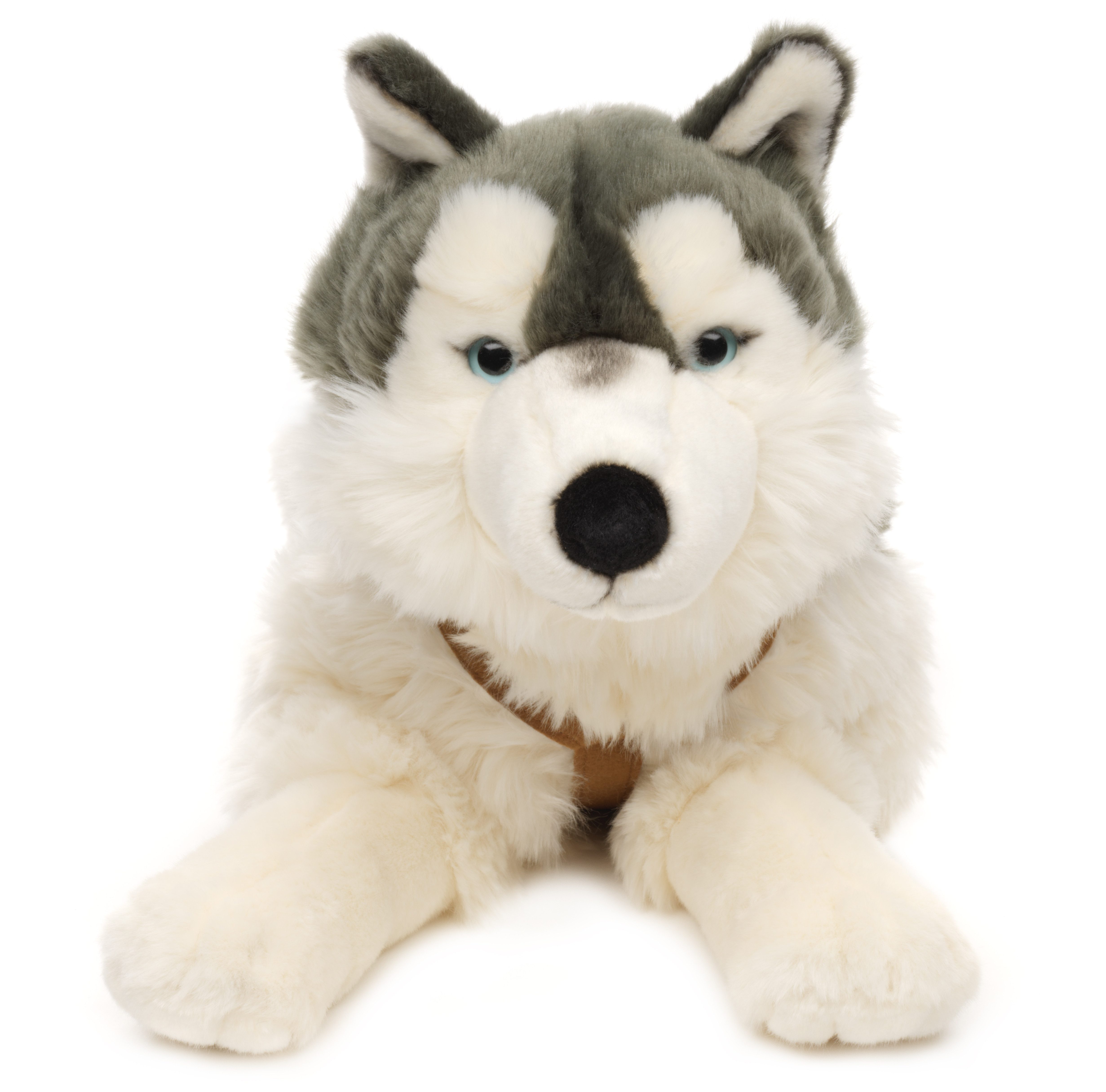 Uni-Toys Kuscheltier Großer Husky (mit Geschirr) - 62 cm (Länge) - Plüsch-Hund - Plüschtier, zu 100 % recyceltes Füllmaterial