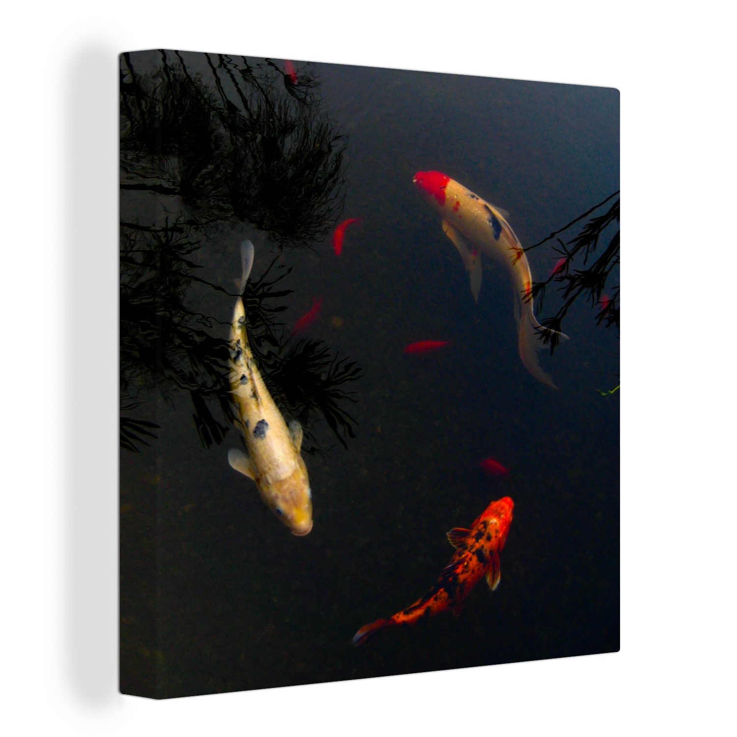 OneMillionCanvasses® Leinwandbild Eine Gruppe von Koi-Karpfen, die im Kreis schwimmen, (1 St), Leinwand Bilder für Wohnzimmer Schlafzimmer