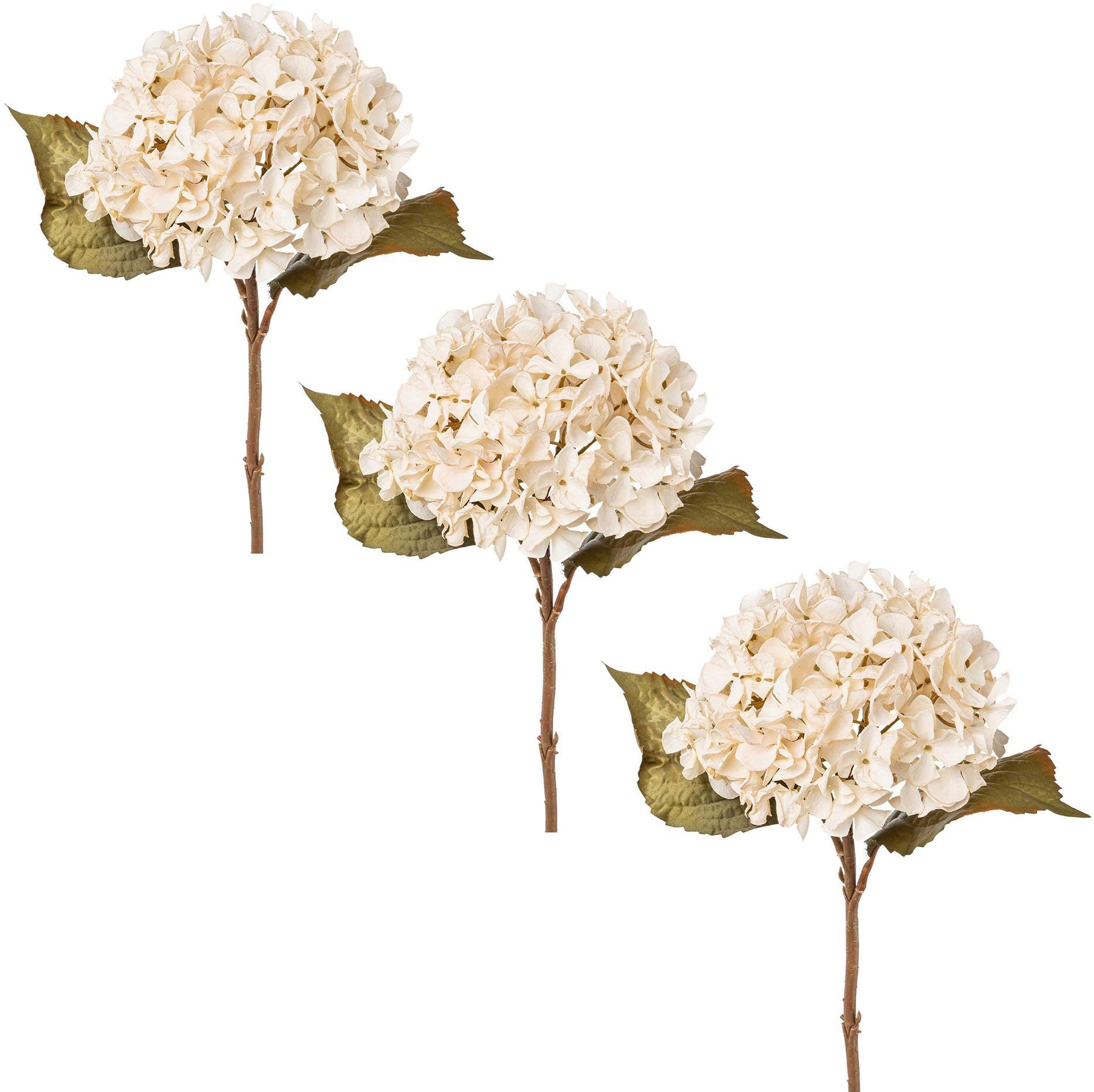 Kunstblume Hortensie, Creativ green, Höhe 46 cm beige | Kunstblumen