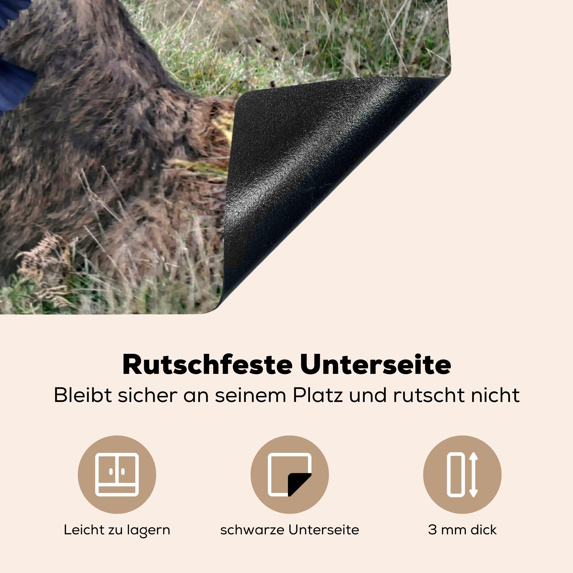 Wald, cm, Schutz 81x52 für Vinyl, Induktionskochfeld tlg), Ceranfeldabdeckung die Herdblende-/Abdeckplatte - - Hirsch Vogel (1 MuchoWow küche,