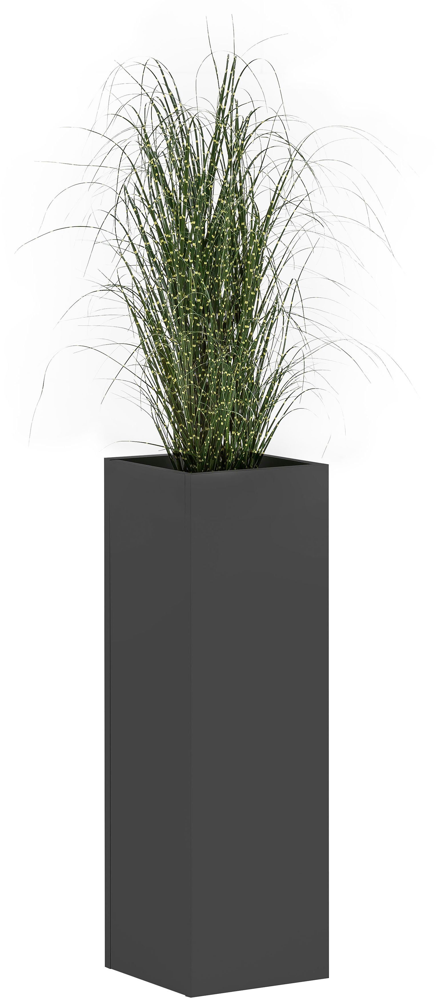 Schildmeyer Blumenkasten Serie 1500 günstig online kaufen