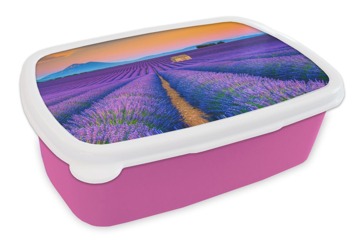 - Erwachsene, Snackbox, (2-tlg), Brotbox Kinder, Lila Lavendel Kunststoff, - MuchoWow Mädchen, rosa Brotdose für Kunststoff Lunchbox Blumen,