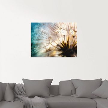 Artland Glasbild Pusteblume Makro abstrakt, Blumen (1 St), in verschiedenen Größen