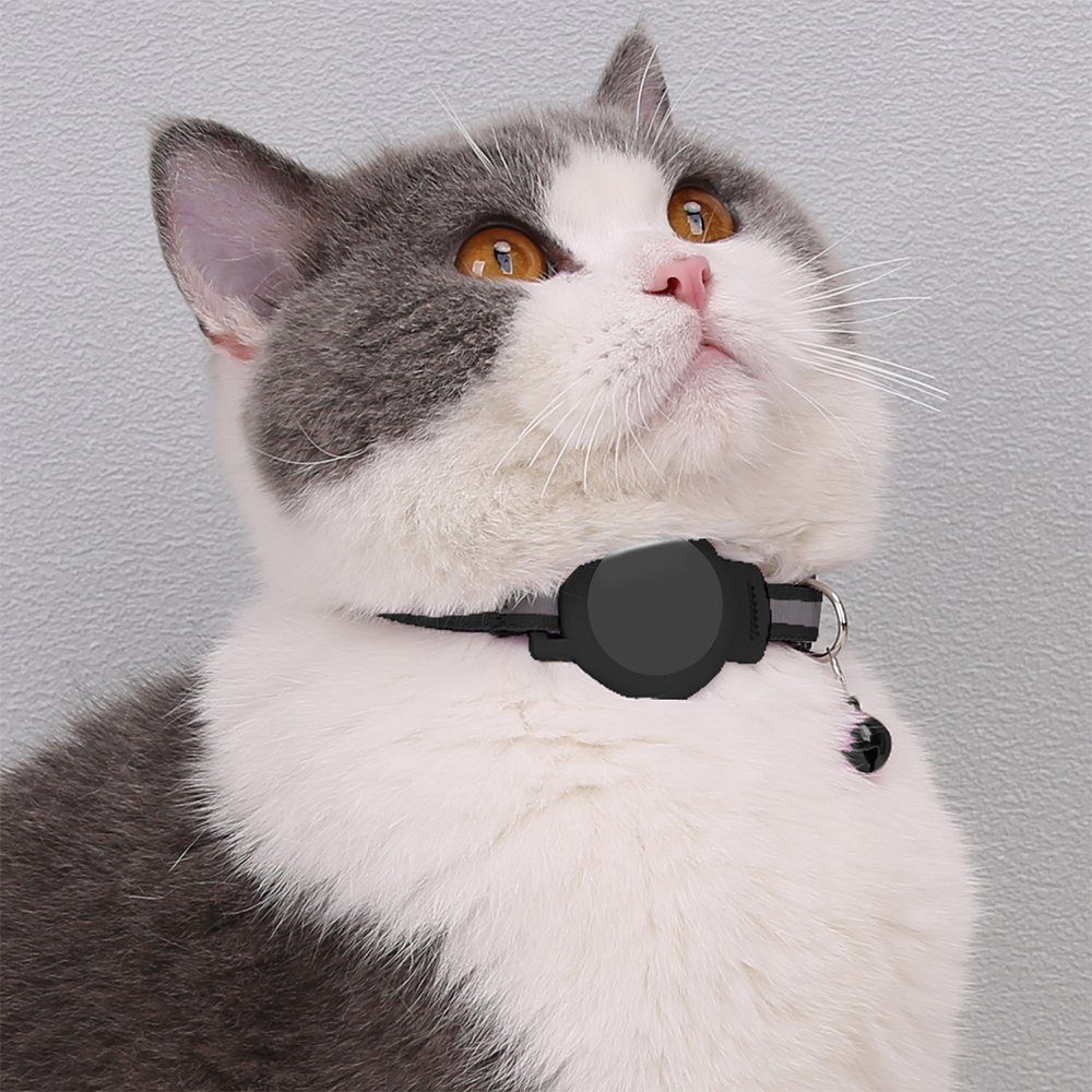 Mini GPS Tracker Für Hunde & Katzen - Weltweite Ortung, Wasserdicht, Ohne Abo-Gebühren