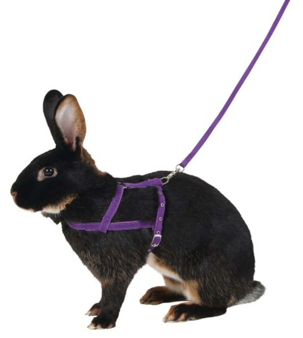 Kerbl Geschirr Schultergeschirr Agility 21 cm - 35 cm Bauchumfang 81760 von Kerbl