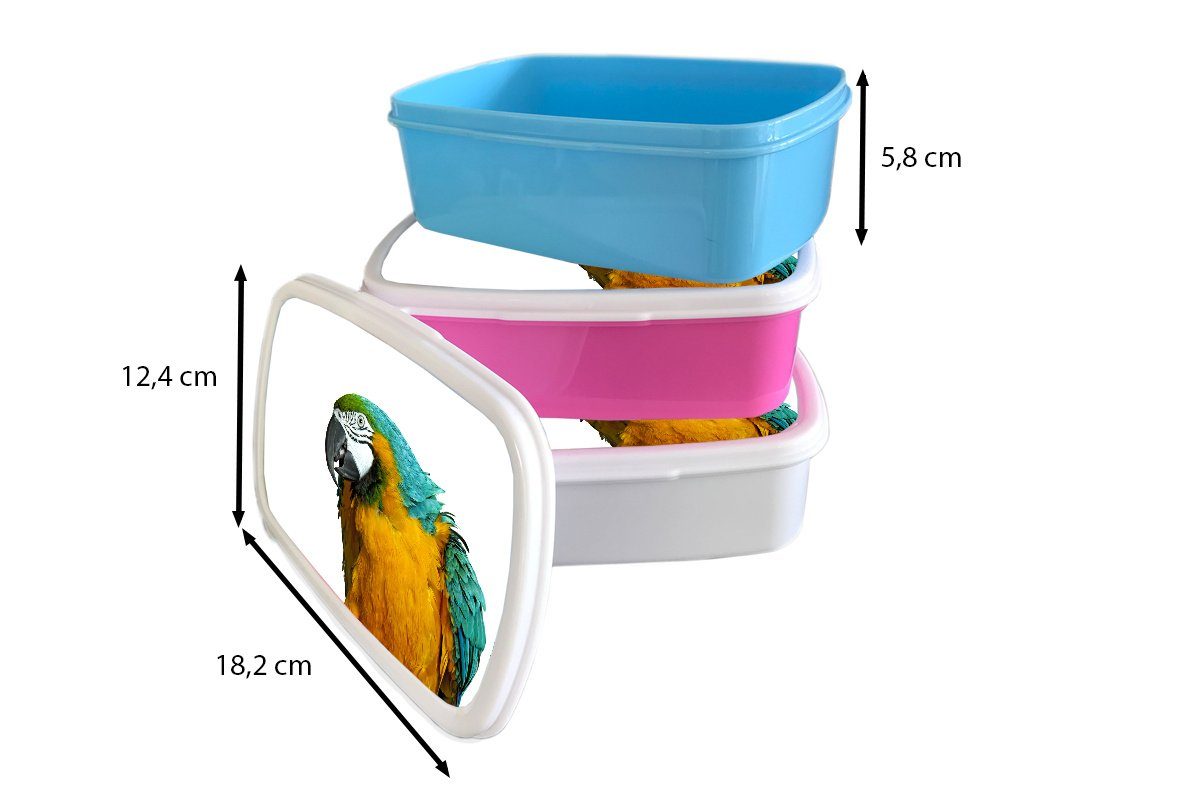 und Federn für MuchoWow - Erwachsene, Brotbox Vogel Papagei Jungs Kunststoff, Porträt, (2-tlg), - Brotdose, Lunchbox - weiß für und Kinder Mädchen