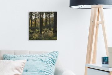OneMillionCanvasses® Leinwandbild Wald - Sommer - Sonne, (1 St), Leinwand Bilder für Wohnzimmer Schlafzimmer