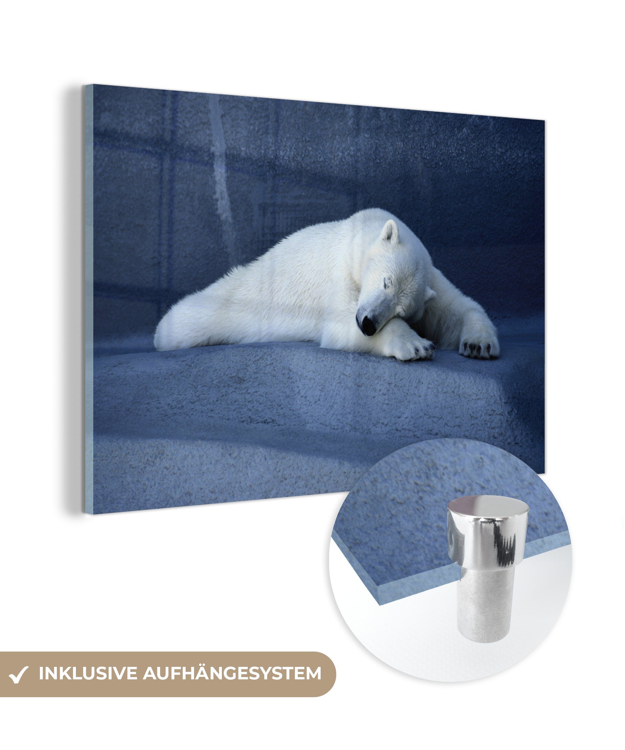 (1 Wohnzimmer Eisbär, Acrylglasbild St), & Schlafzimmer Acrylglasbilder MuchoWow Schlafender