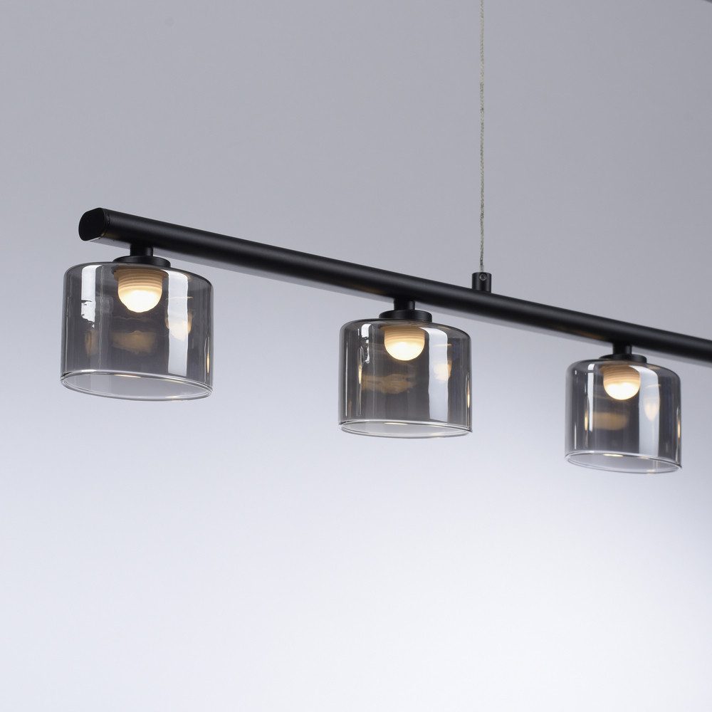 Paul Neuhaus LED Pendelleuchte LED Pendelleuchte HYDRA, höhenverstellbar, 5x LED-Board/ 4 Watt, 3000 Kelvin, höhenverstellbar, Glasschirme klassisch – Bild 3 von 5