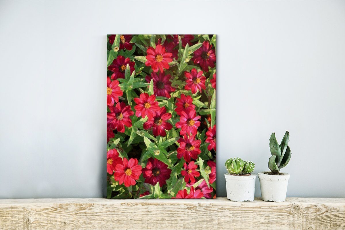 Zinnienblüten sonnigen OneMillionCanvasses® Leinwandbild Zackenaufhänger, cm St), Rote (1 Gemälde, bespannt einem fertig inkl. an Leinwandbild 20x30 Tag,