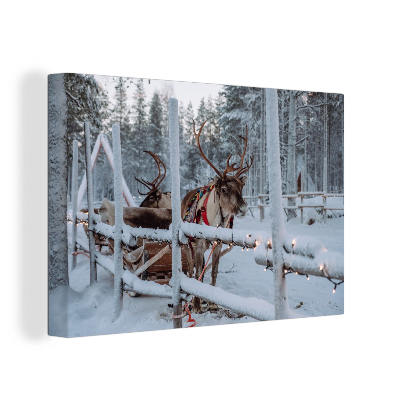 OneMillionCanvasses® Leinwandbild Ein Rentier im Dorf des Weihnachtsmanns in Finnland, (1 St), Wandbild Leinwandbilder, Aufhängefertig, Wanddeko, 30x20 cm