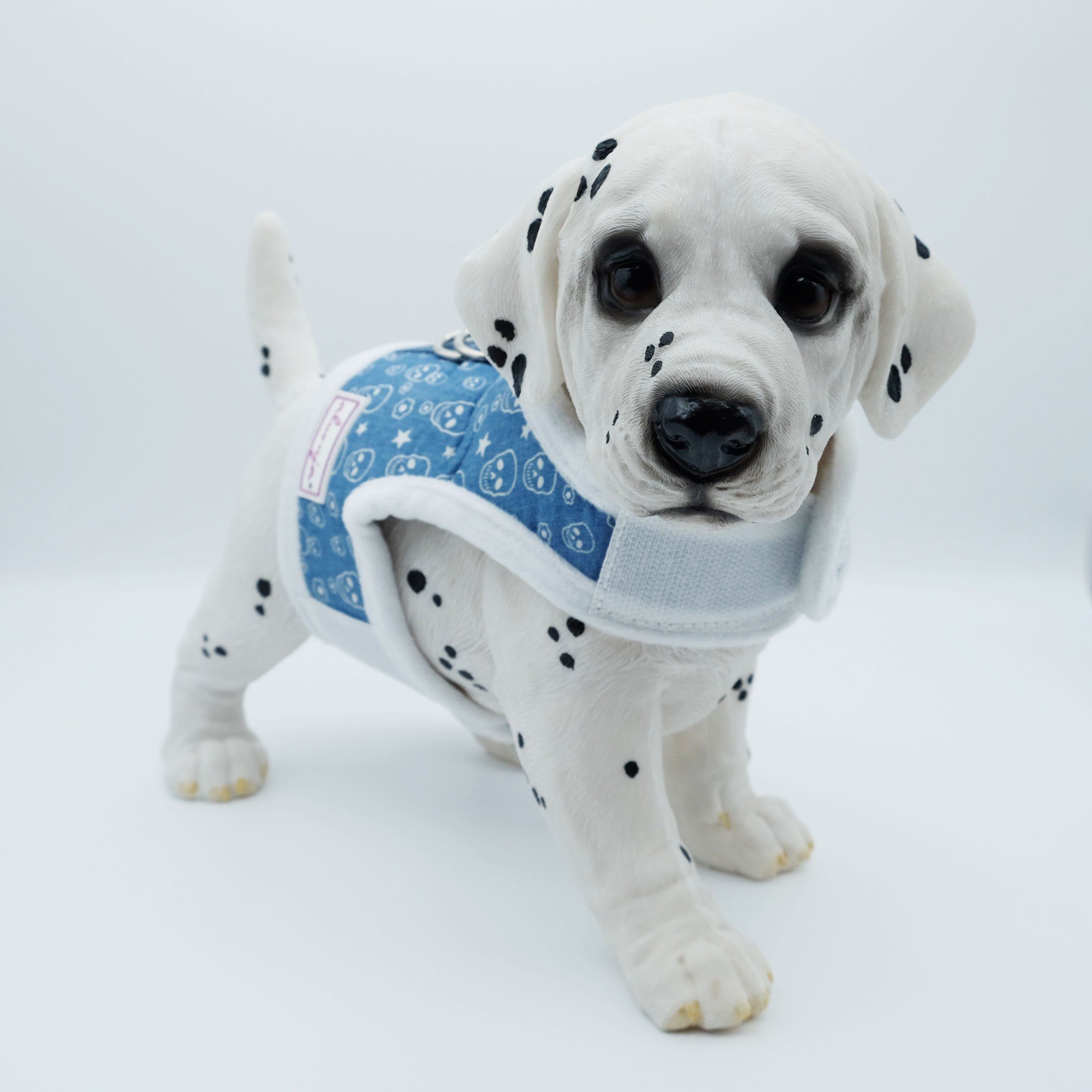 Alvonja Hunde-Geschirr Hundegeschirr kleine, mittlere Hunde, günstig online kaufen