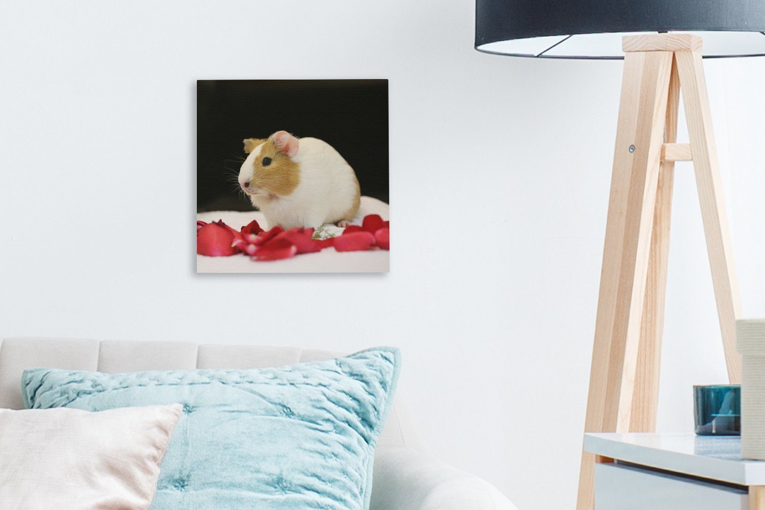 Bilder Wohnzimmer Meerschweinchen, Leinwandbild für Schlafzimmer Liebes OneMillionCanvasses® St), Leinwand (1