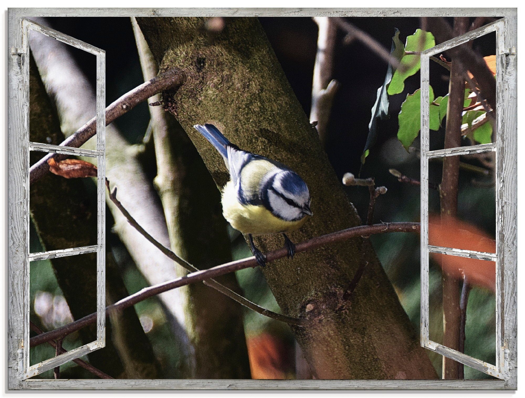 Artland Glasbild Fensterblick - Blaumeise, Vögel (1 St), in verschiedenen Größen | Bilder