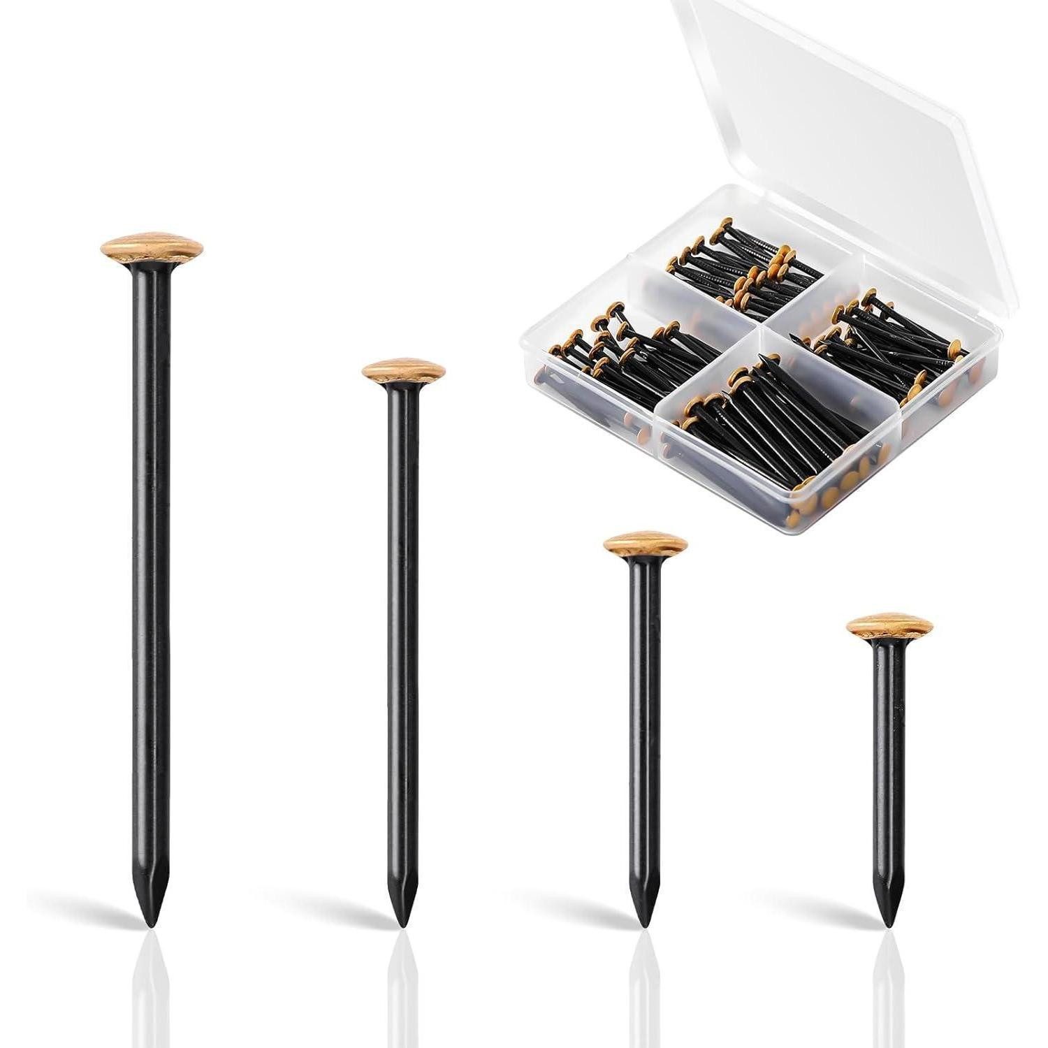 LuxusKollektion Stahlnagel Bilder Nägel Set mit Box 4 Größen