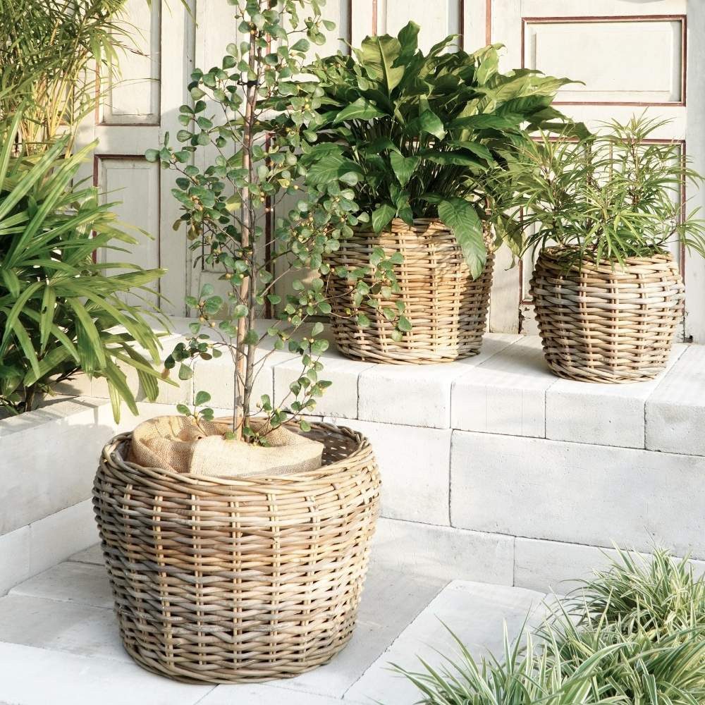 LebensWohnArt Dekokorb Natur Rattankorb GINI Natural Grey ca.30cm Pflanzkorb Übertopf