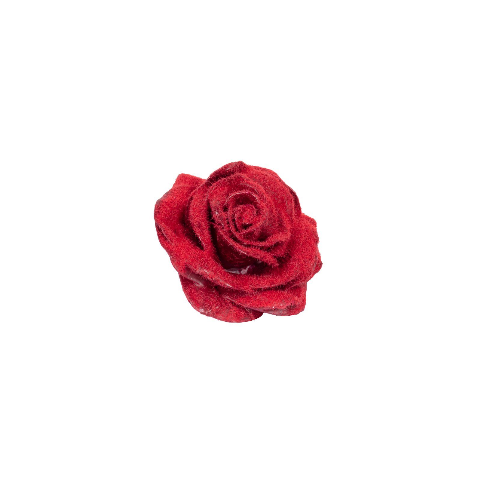 Trockenblume 10er-Set Wachsrose - Bordeaux Primera, cm Velvet Red, Höhe 20