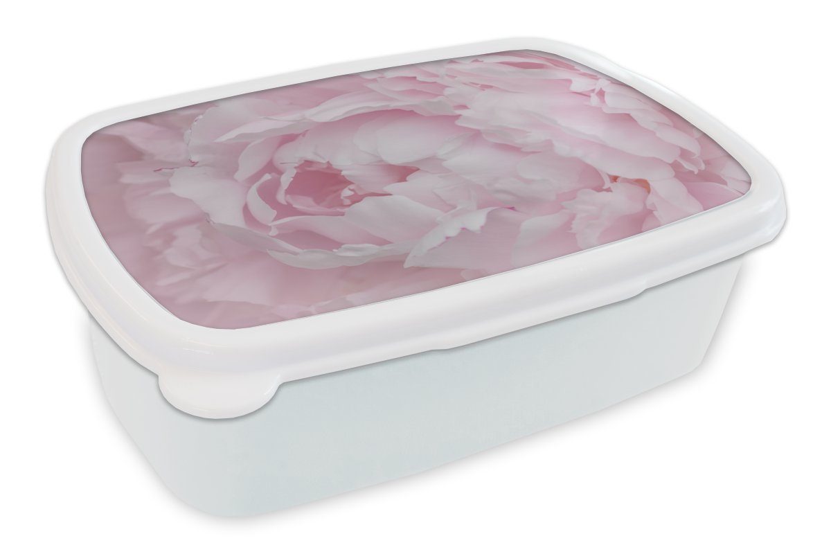 MuchoWow Lunchbox Nahaufnahme und Draufsicht einer rosa Pfingstrose, Kunststoff, (2-tlg), Brotbox für Kinder und Erwachsene, Brotdose, für Jungs und Mädchen weiß