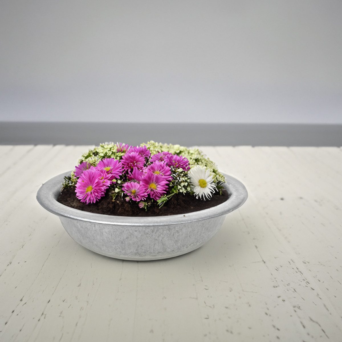 matches21 HOME & HOBBY Blumentopf Zinkwanne Zink-Schale als runde Pflanzschale Deko-Schale 35 x 9,5 cm (1 St), Metall-Schale als Garten Pflanzkübel Blumenschale für draußen