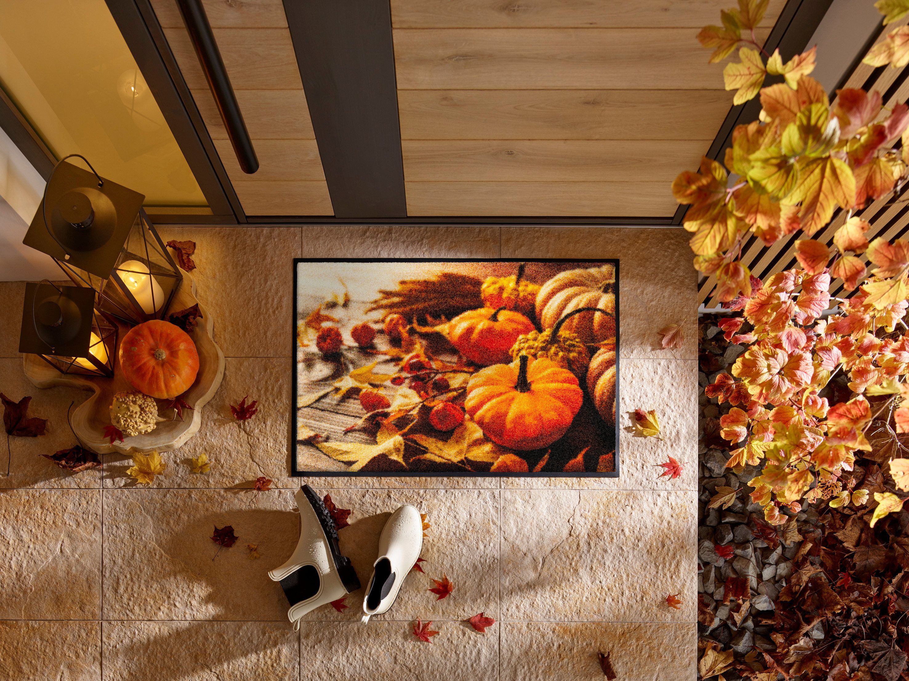 wash+dry by Kleen-Tex Fußmatte Pumpkin Glow, rechteckig, Höhe: 7 mm, waschb günstig online kaufen