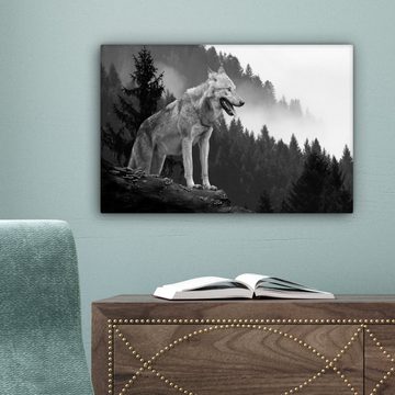 OneMillionCanvasses® Leinwandbild Wolf - Wald - Schwarz - Weiß, (1 St), Wandbild Leinwandbilder, Aufhängefertig, Wanddeko, 30x20 cm