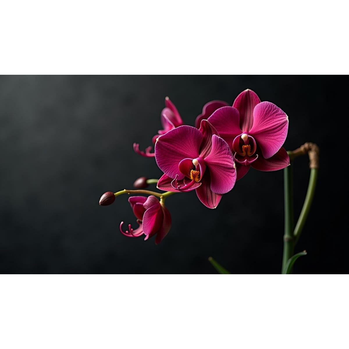 LITAMIN Badeschaum LITAMIN Duftöl-Pflegeschaumbad Magische Momente 750ml Wellnes & Care (