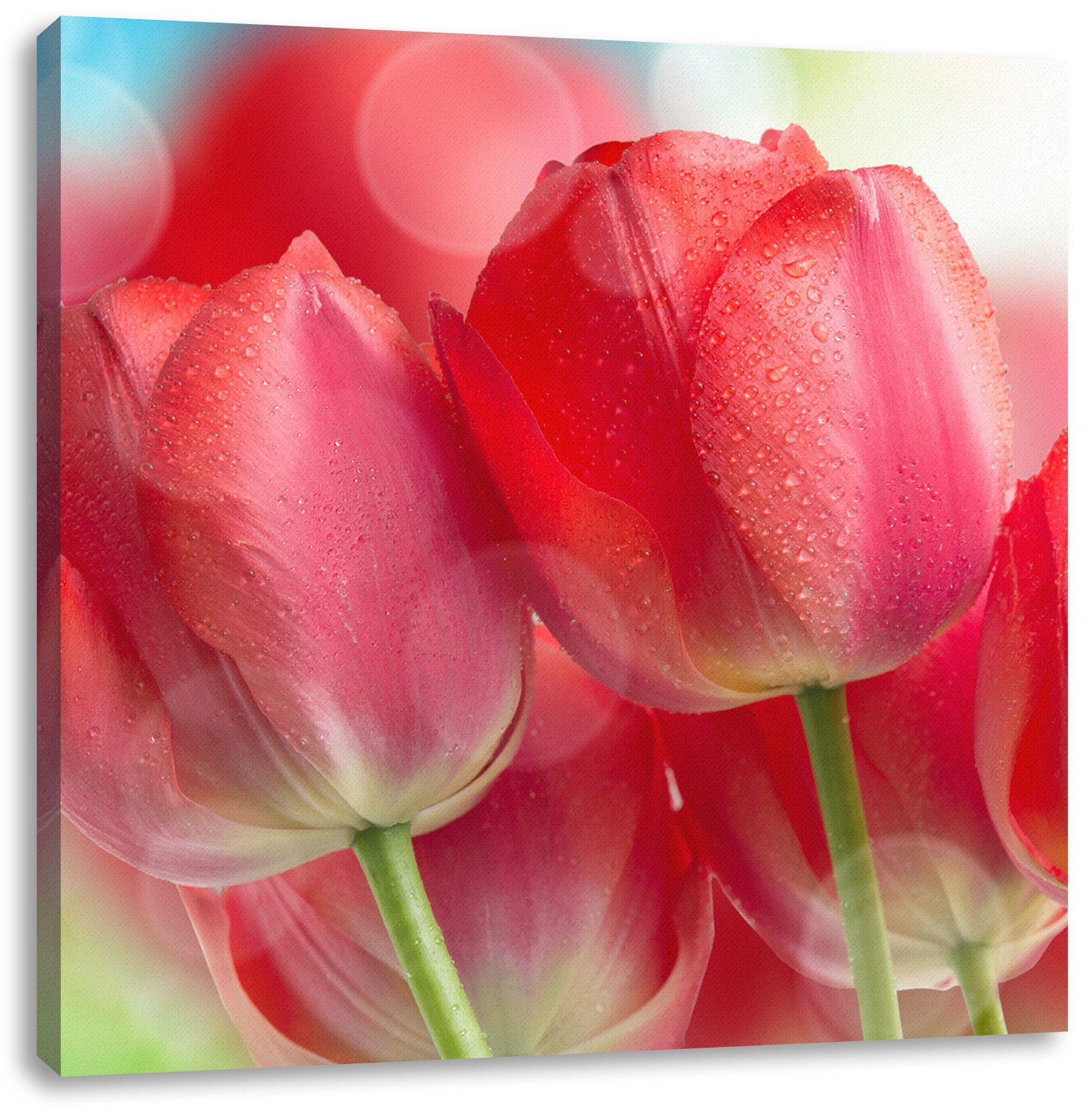 Pixxprint Leinwandbild Rote Tulpen, Rote Tulpen (1 St), Leinwandbild fertig bespannt, inkl. Zackenaufhänger
