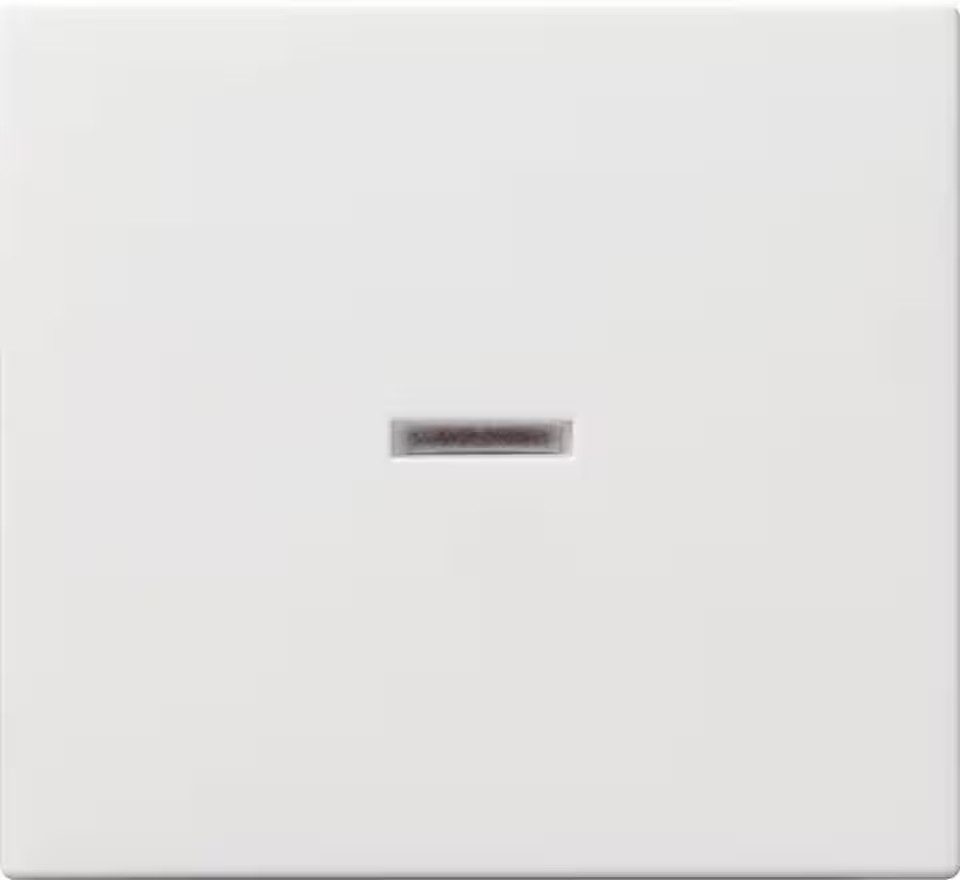 GIRA Schalter GIRA 029027 Wippe Kontrollfenster System 55 Reinweiß seidenmatt