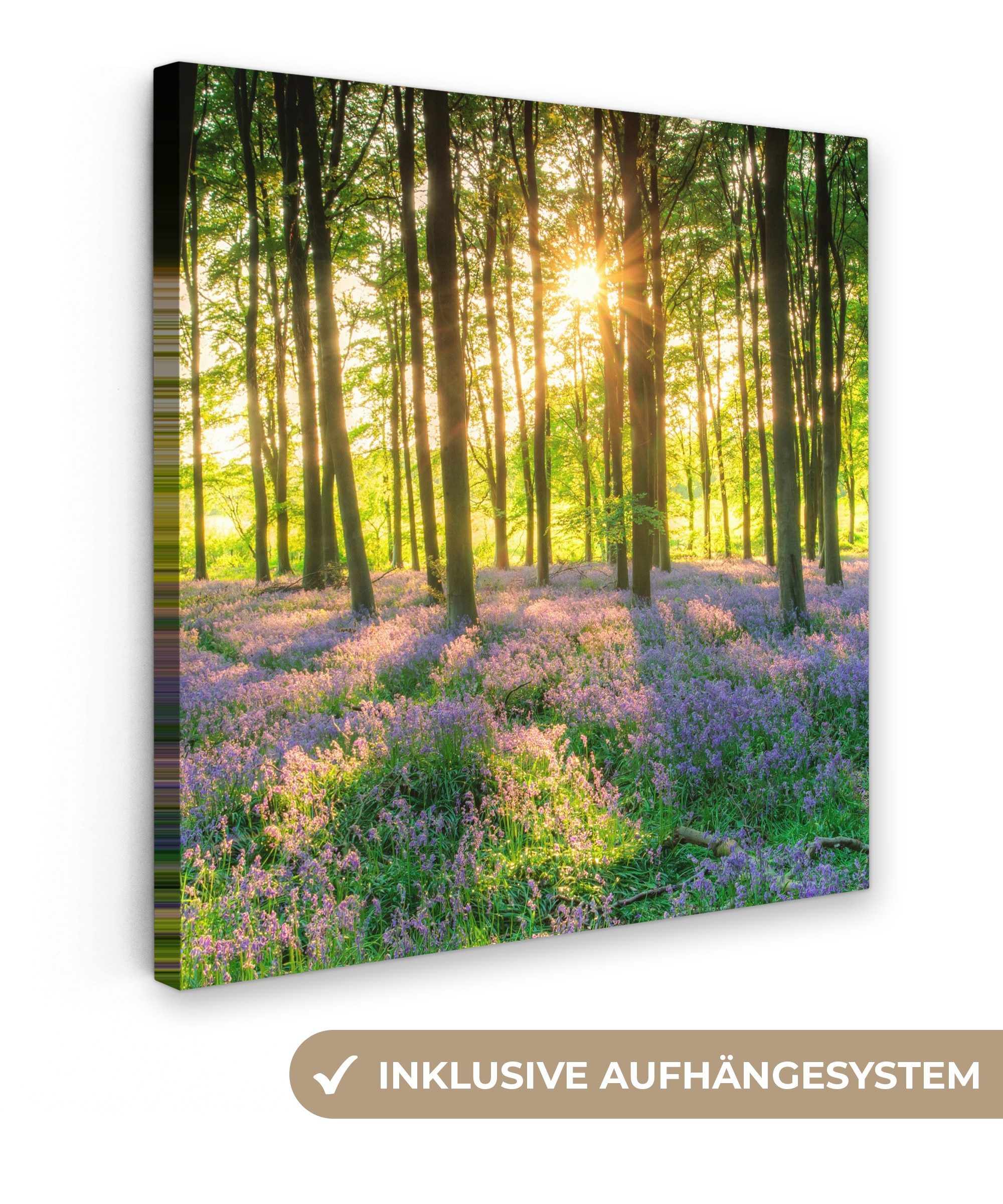 OneMillionCanvasses® Leinwandbild Frühling - Wald - Sonne, Fotodruck (1 St) günstig online kaufen