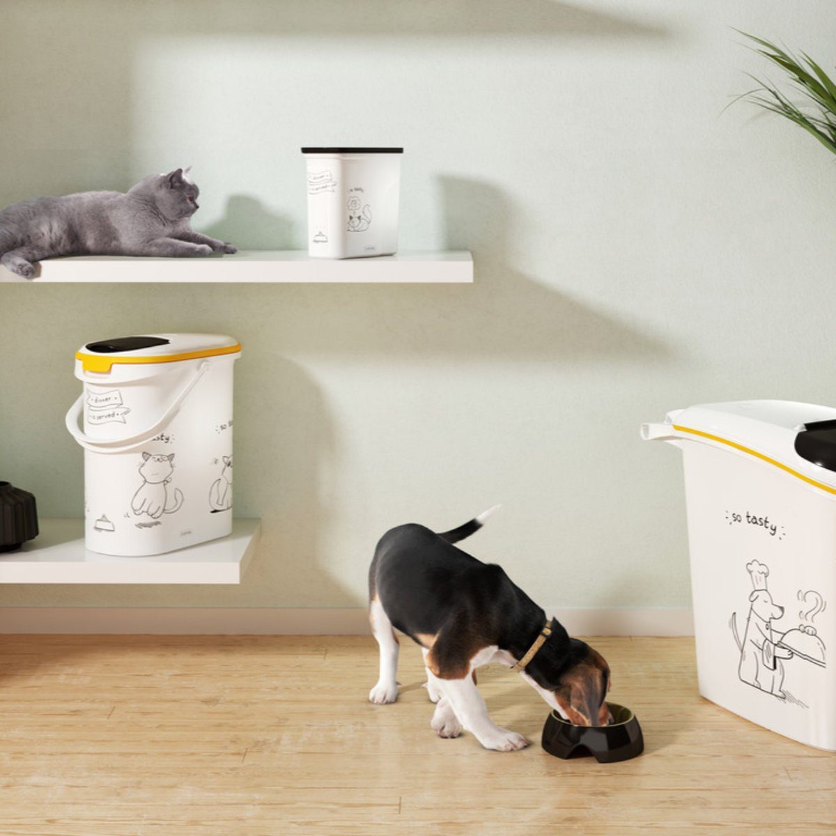 Curver Futterbehälter Futtercontainer "Dinner is served" günstig online kaufen