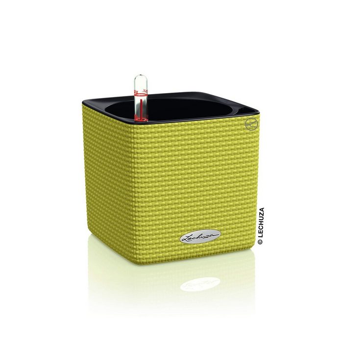 Lechuza® Blumentopf Cube Color 14 - limettengrün AIO Komplettset (1 St)