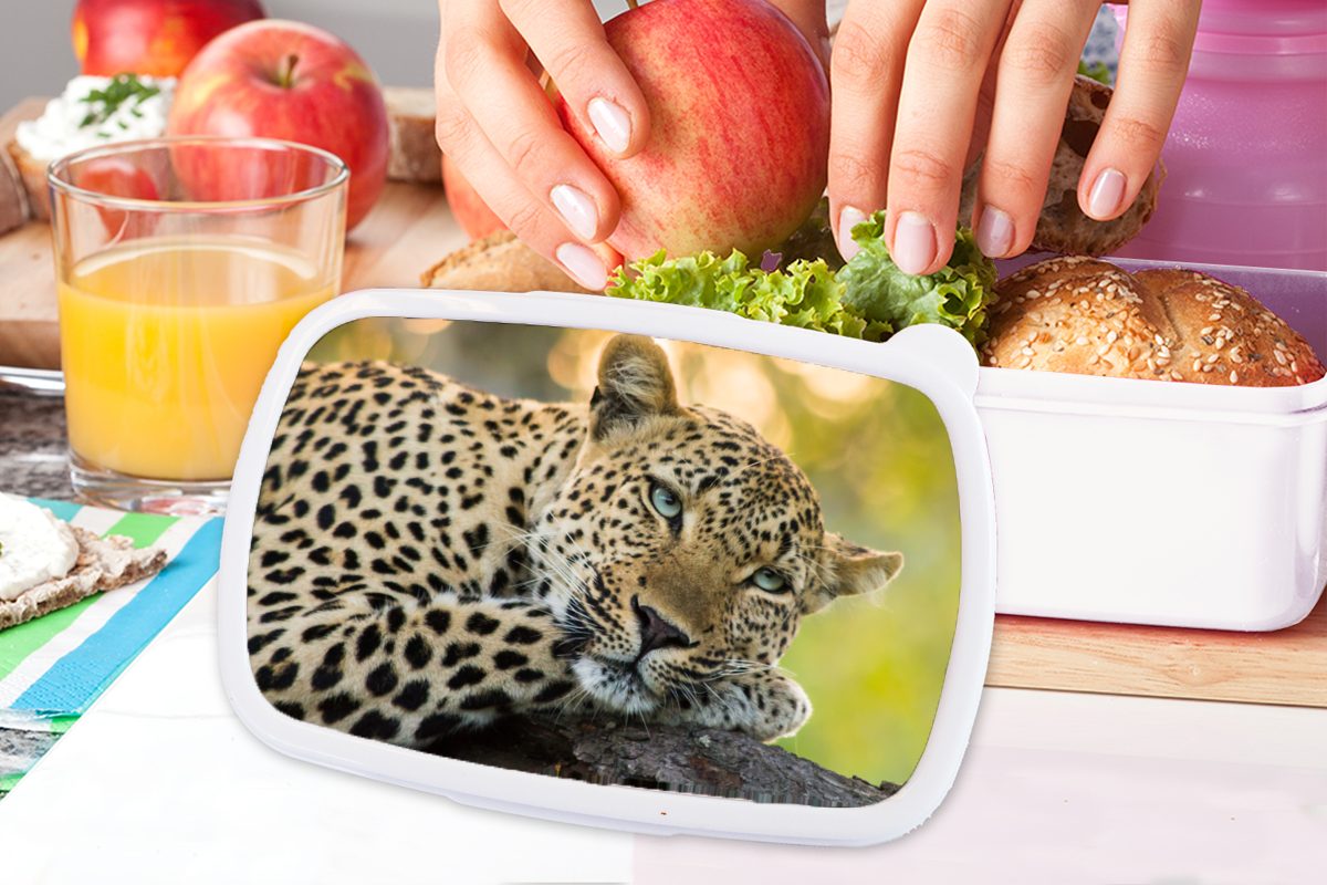 Erwachsene, Brotbox und - für Kunststoff, Leopard MuchoWow Jungs Kinder für Brotdose, Natur Sonnenuntergang, Mädchen und weiß Lunchbox - (2-tlg),