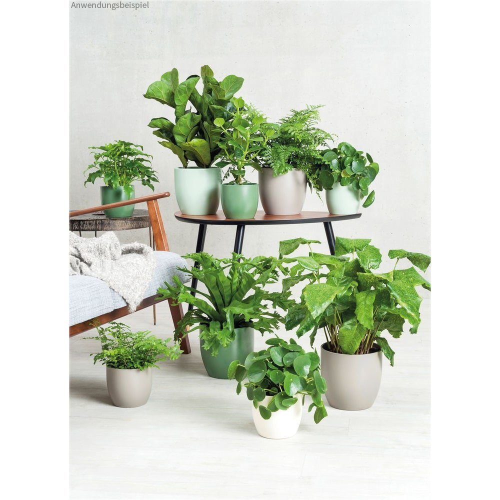 matte HOME perlmutt Keramik & Blumentopf (1 Ø matches21 cm St) Blumentopf HOBBY Oberfläche 16