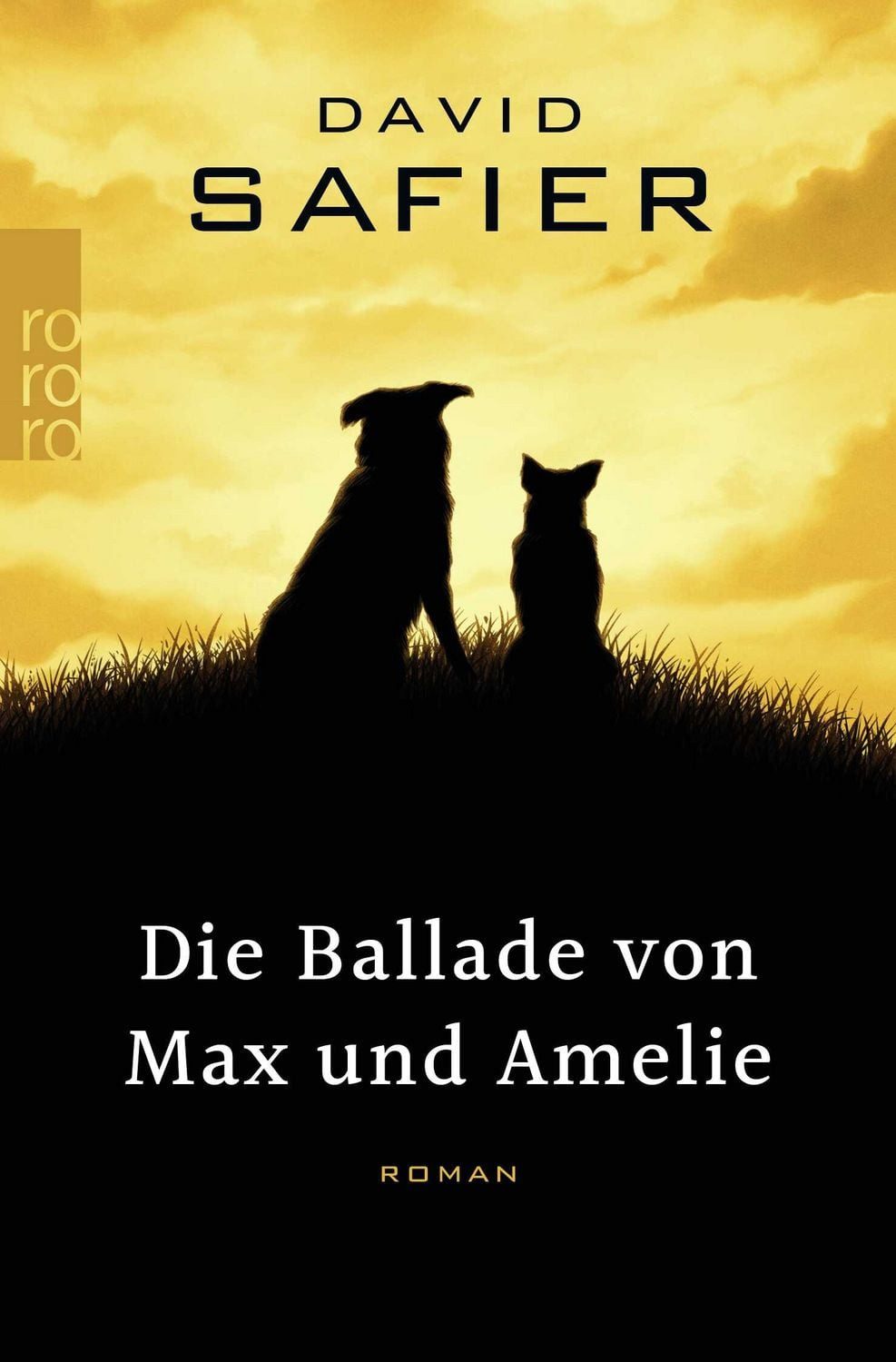 Die Ballade von Max und Amelie / David Safier