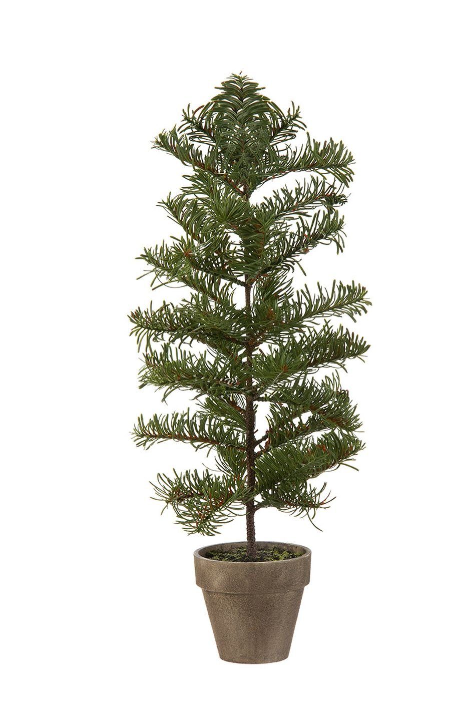 Kunstblume Deko Tannenbaum im Topf grün VE 2 (BxHxL) cm x 56 cm x cm, GILDE, Kunstblume Deko Blume Kunstpflanze für Zuhause Dekoartikel. Reduzierter Preis € 59,20. Unverbindliche Preisempfehlung € 65,78, (€ 59,20 pro 1 Stk)