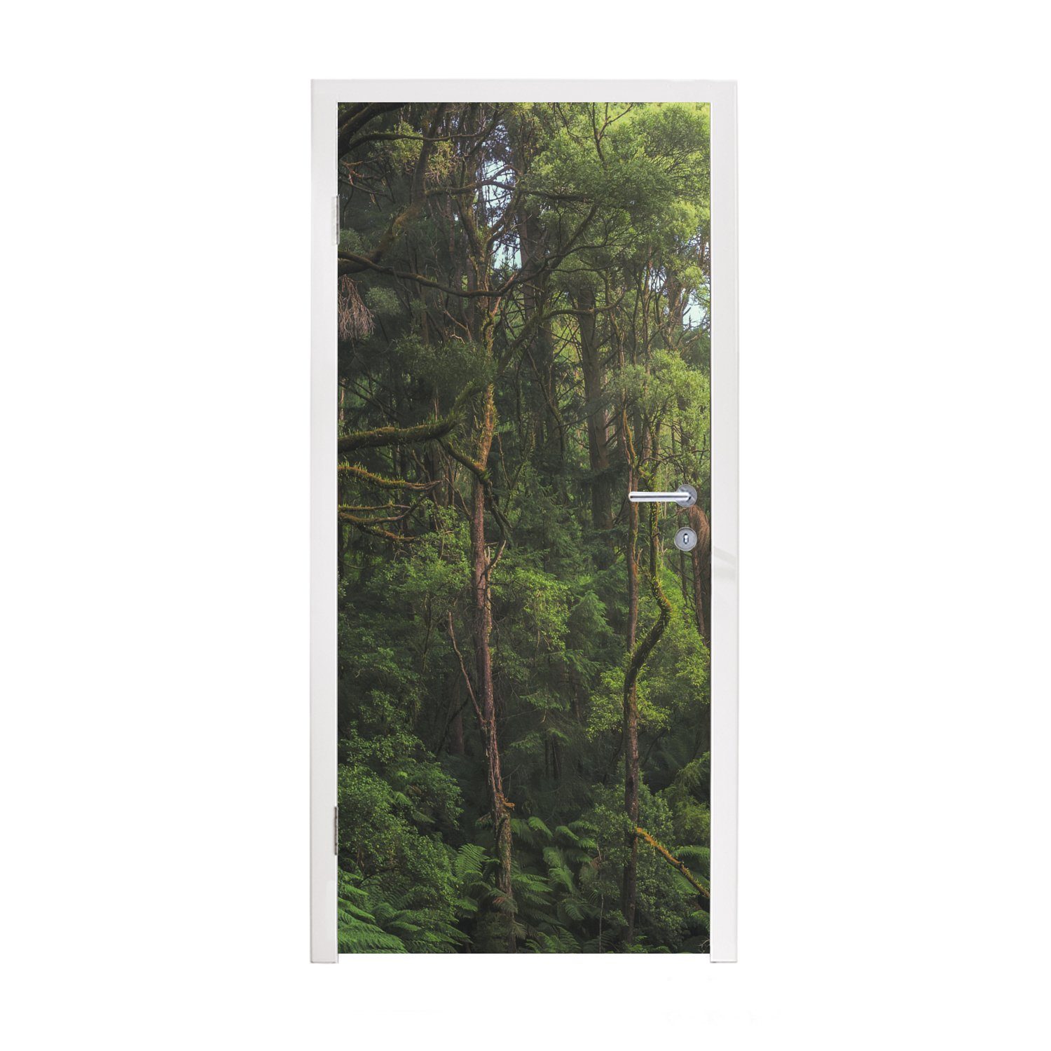 MuchoWow Türtapete Dschungel in Australien, Matt, bedruckt, (1 St), Fototapete für Tür, Türaufkleber, 75x205 cm