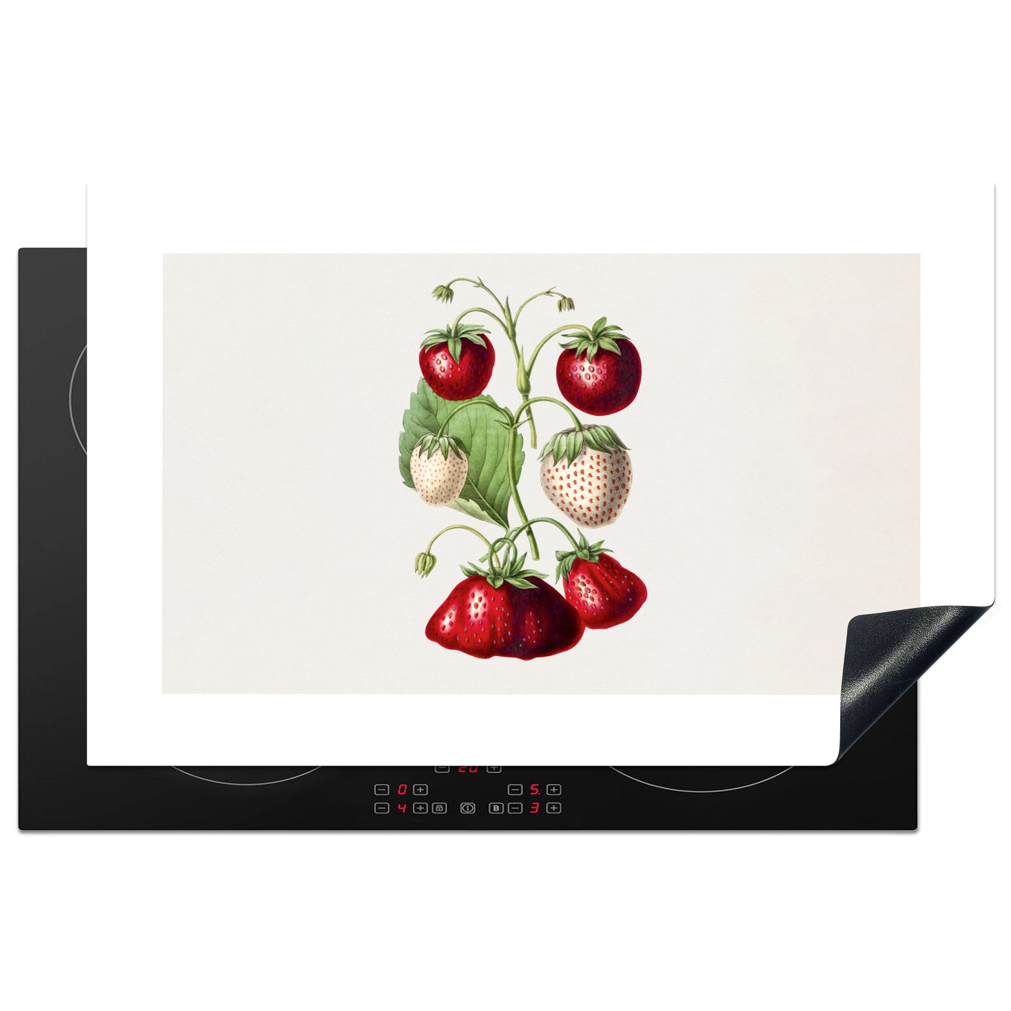 Obst Gesund, - Schutz cm, die - Vinyl, Erdbeeren Induktionskochfeld (1 für tlg), 81x52 MuchoWow Herdblende-/Abdeckplatte küche, Ceranfeldabdeckung