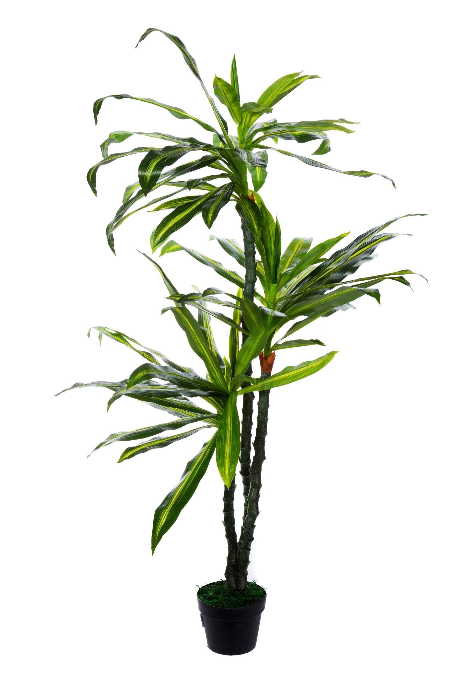 BIRENDY Dekobaum XXL Drachenbaum JWS2321 künstliche günstig online kaufen