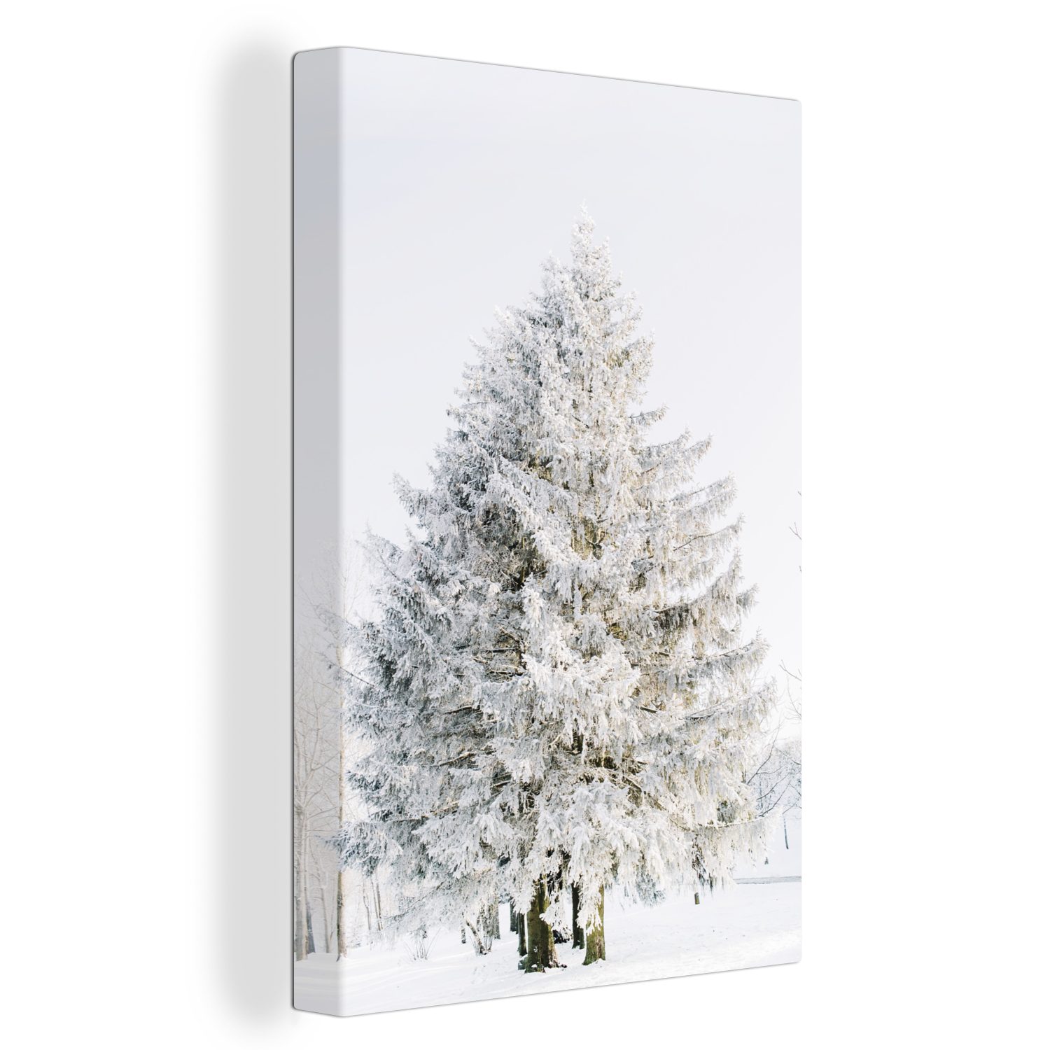OneMillionCanvasses® Leinwandbild Winter - Baum - Schnee - Kiefer - Weiß, F günstig online kaufen