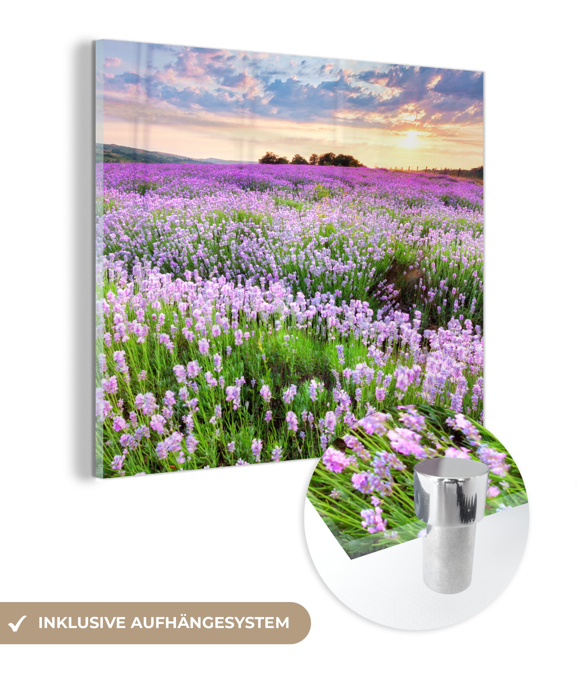 MuchoWow Acrylglasbild Blumen - Lavendel - Lila - Himmel - Sonnenuntergang - Wiese - Natur, (1 St), Glasbilder - Bilder auf Glas Wandbild - Foto auf Glas - Wanddekoration bunt