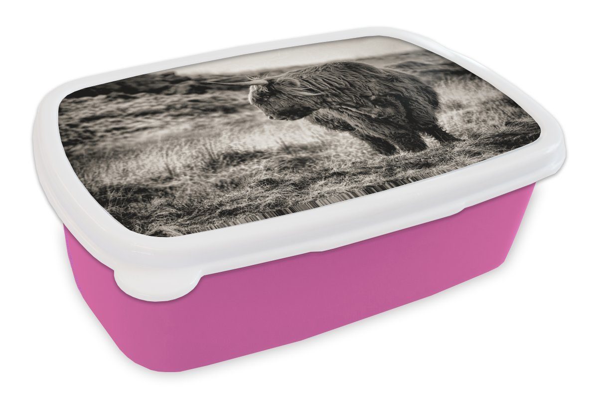 - Weiß, Kunststoff, - für Kunststoff Snackbox, - Erwachsene, Brotbox Schwarz Brotdose Mädchen, Kinder, rosa Highlander Kühe Scottish Lunchbox (2-tlg), MuchoWow