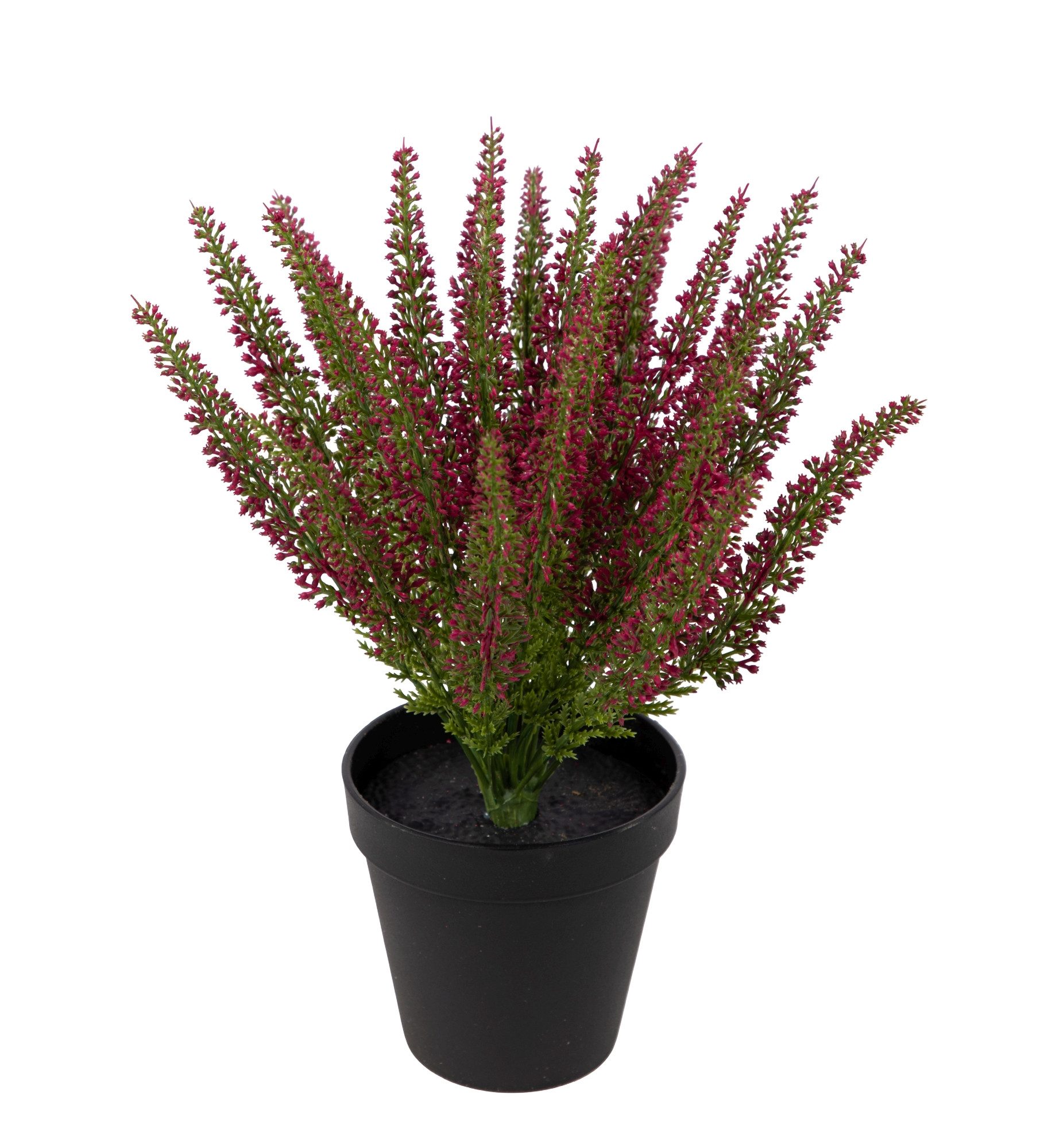 Kunstblume Erika / Heidekraut 32x28cm im Topf DP Kunstpflanzen künstliche Blumen Erikabusch, Seidenblumen Roß, Farbe: Fuchsia