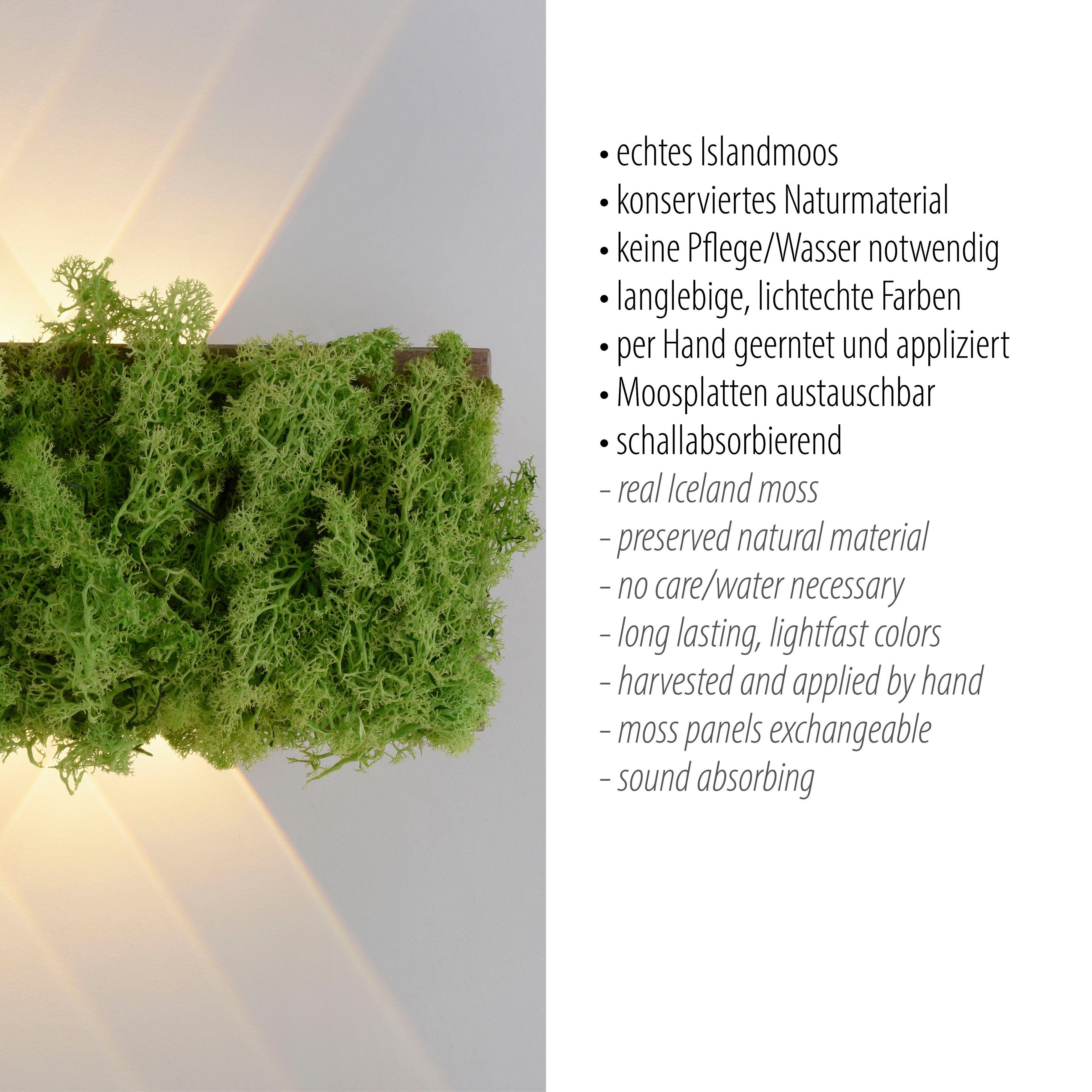 JUST LIGHT Wandleuchte GREEN CARL, LED wechselbar, Warmweiß